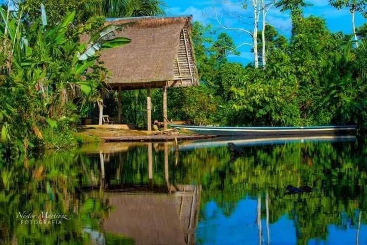 Misahualli Laguna Paikawe B&B المظهر الخارجي الصورة
