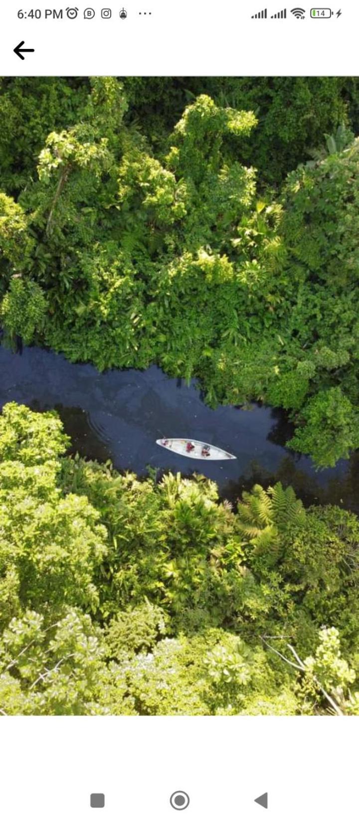 Misahualli Laguna Paikawe B&B المظهر الخارجي الصورة