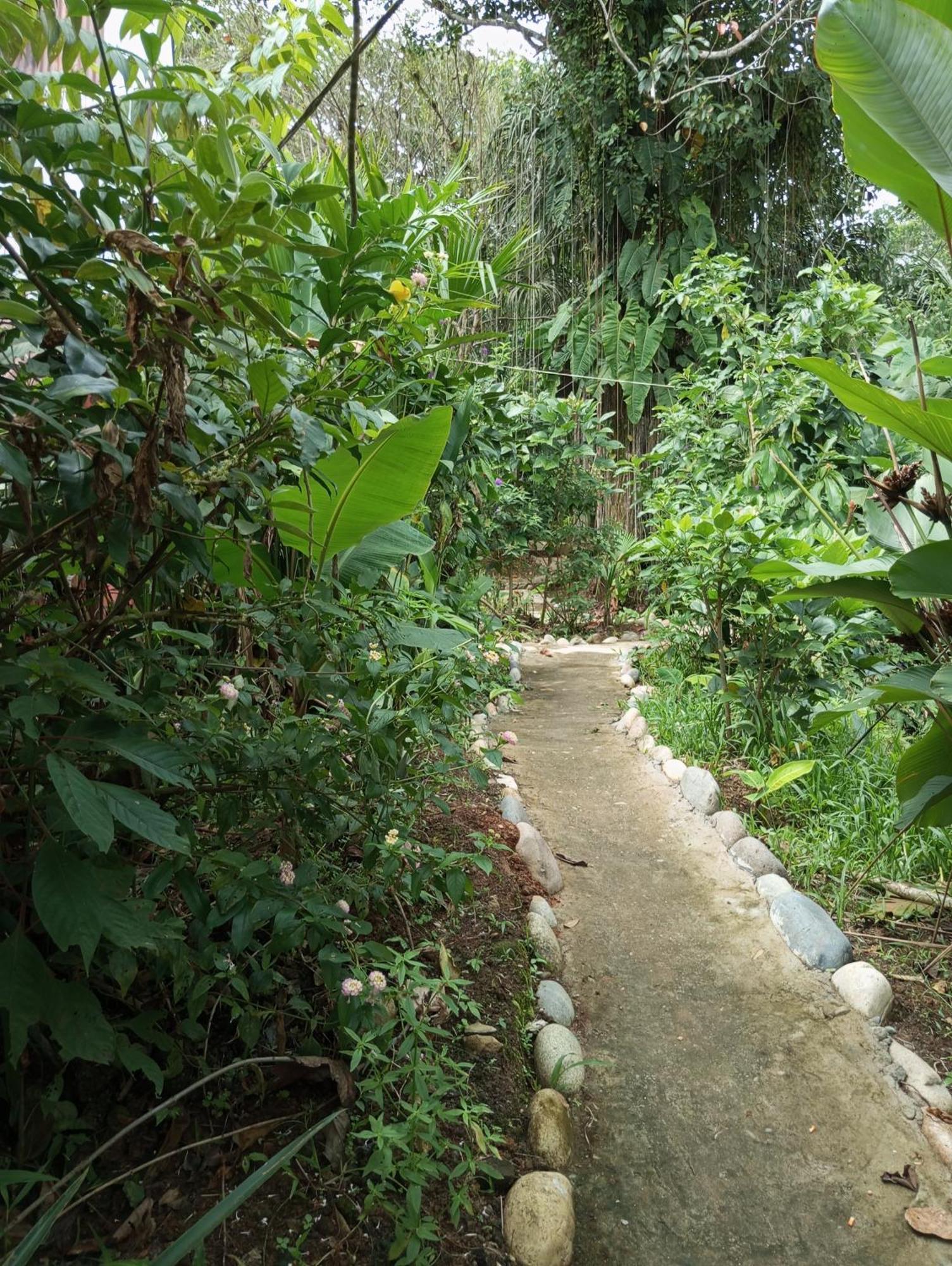 Misahualli Laguna Paikawe B&B المظهر الخارجي الصورة