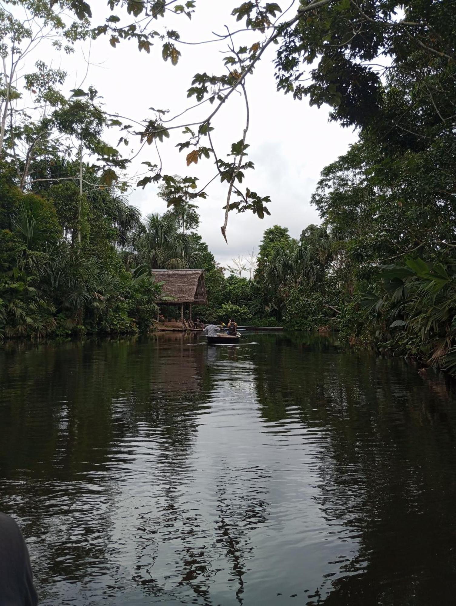 Misahualli Laguna Paikawe B&B المظهر الخارجي الصورة