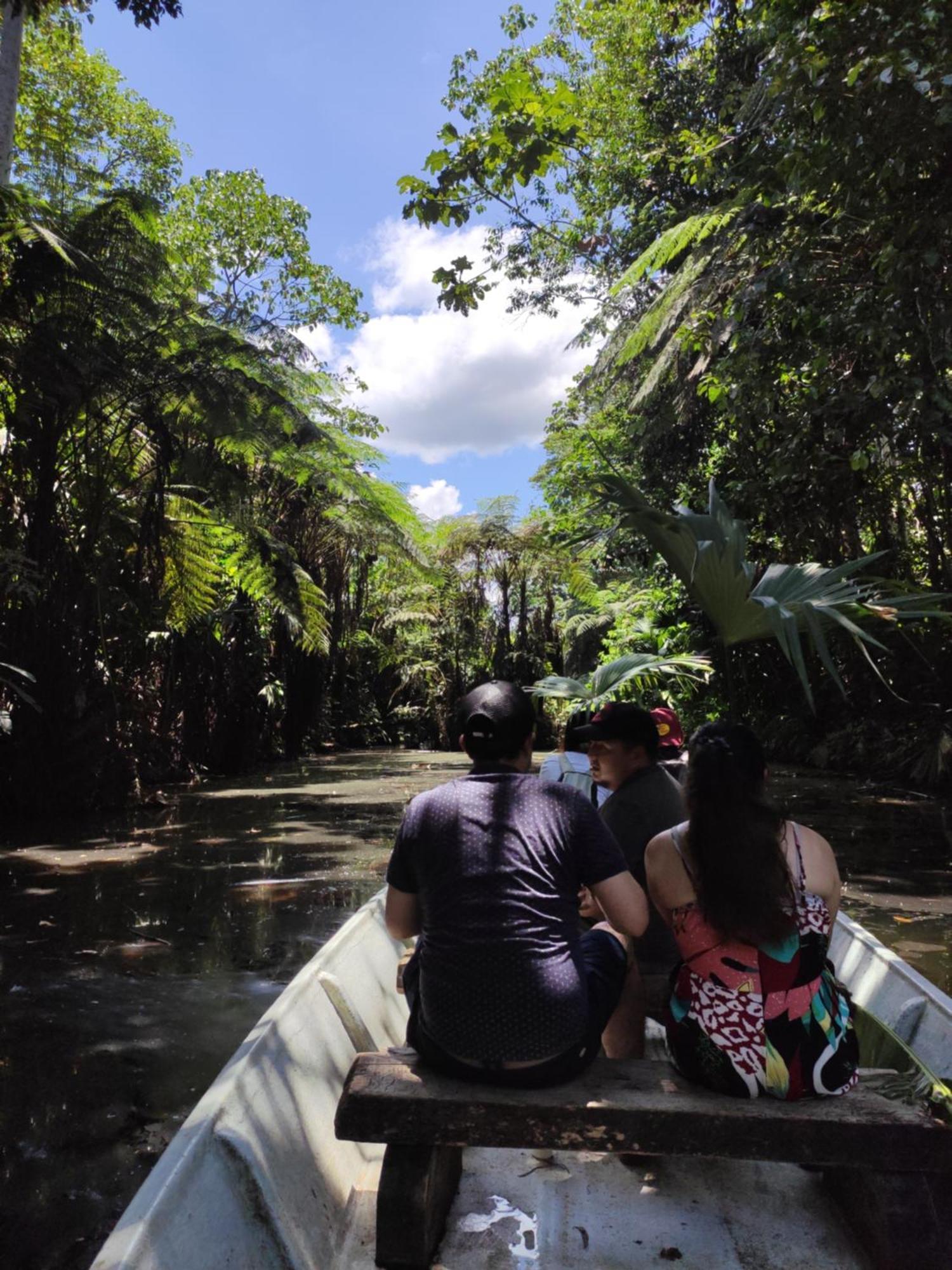 Misahualli Laguna Paikawe B&B الغرفة الصورة