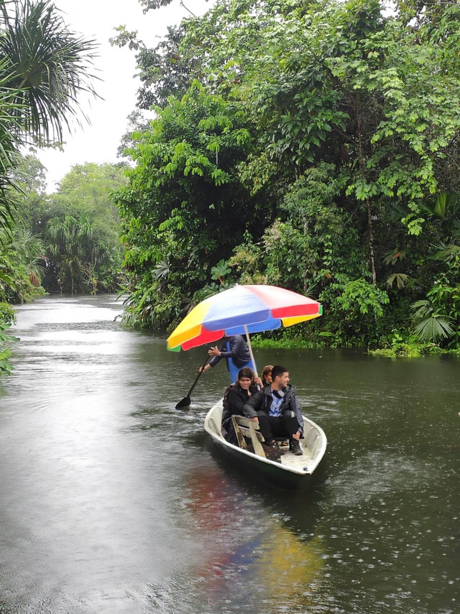 Misahualli Laguna Paikawe B&B الغرفة الصورة