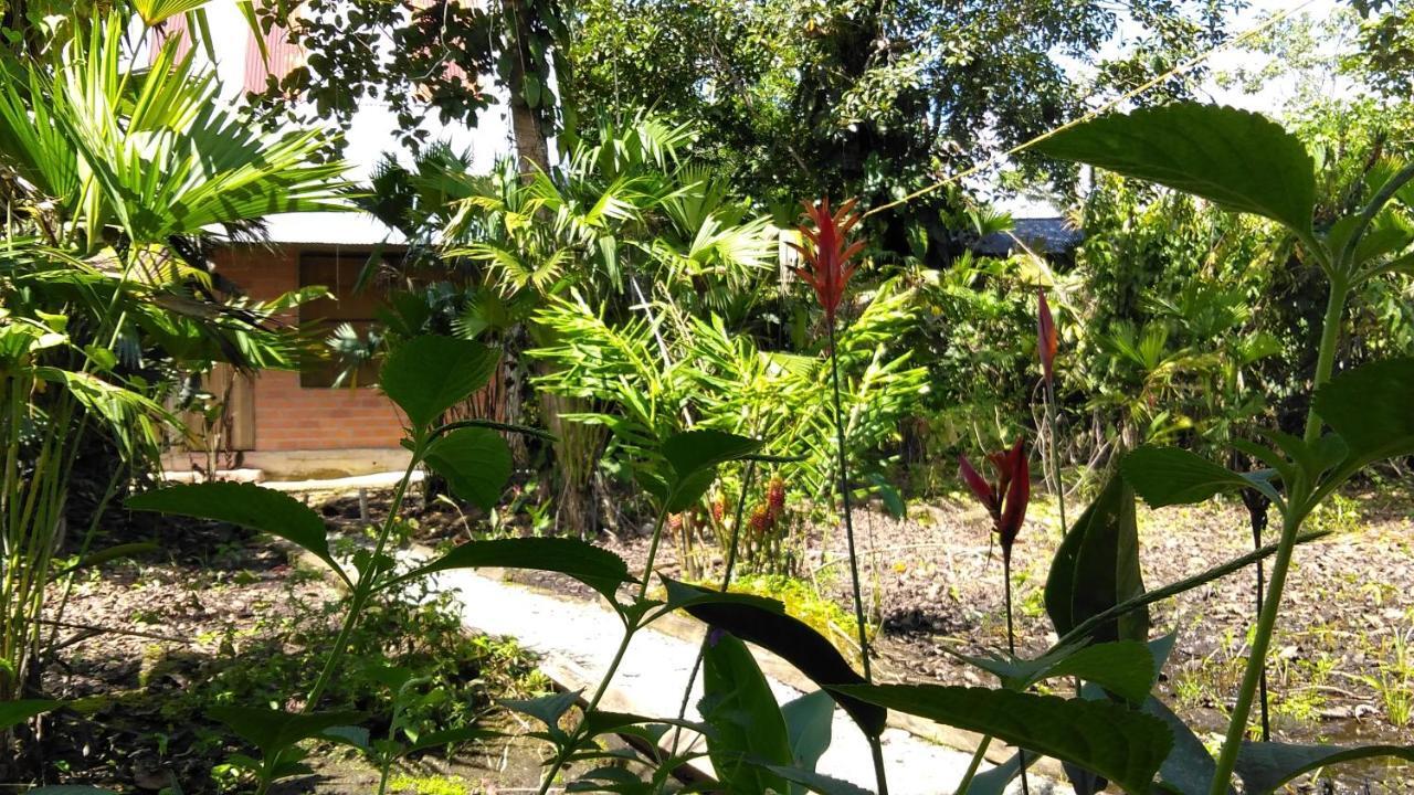 Misahualli Laguna Paikawe B&B المظهر الخارجي الصورة