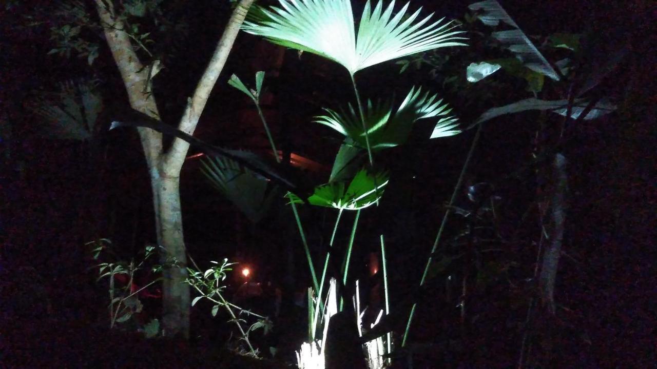 Misahualli Laguna Paikawe B&B المظهر الخارجي الصورة
